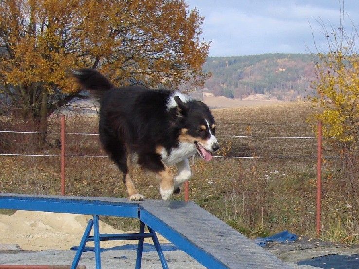 foto Krist�na �ervenkov�:-)